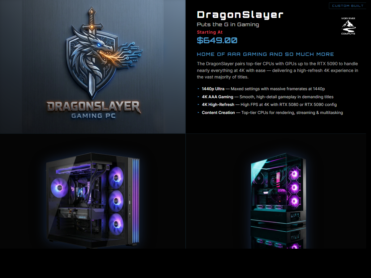 DragonSlayer Summary Flyer